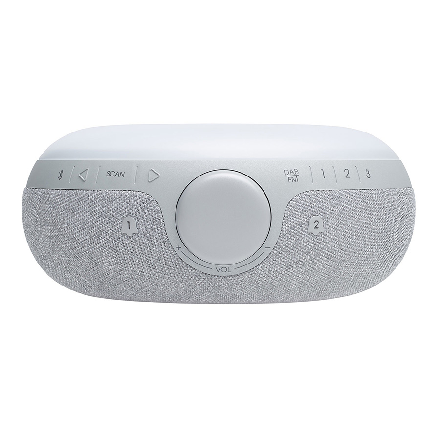 Loa bluetooth JBL Horizon 2 Grey-3