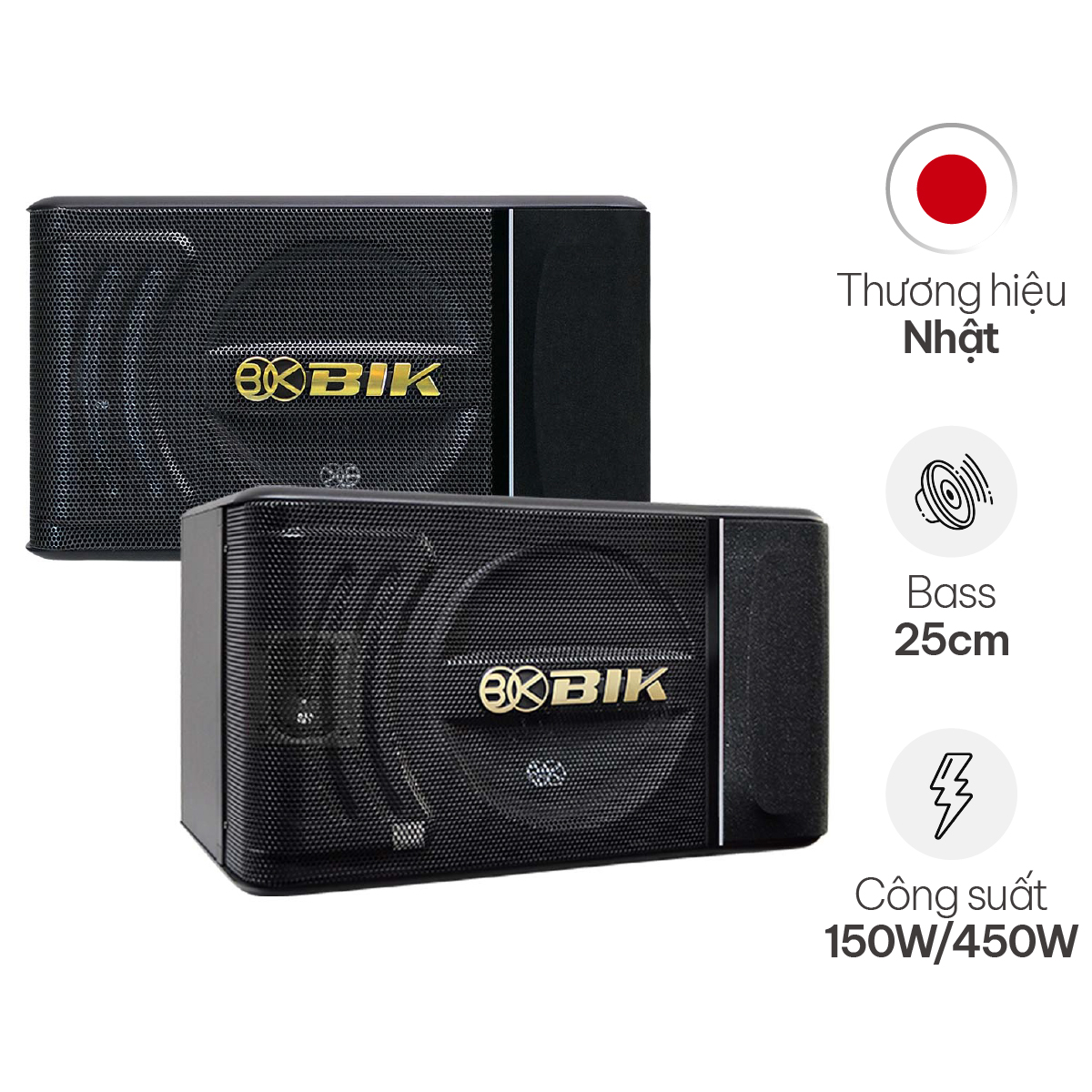 Loa Karaoke Nhật BIK BJ S886