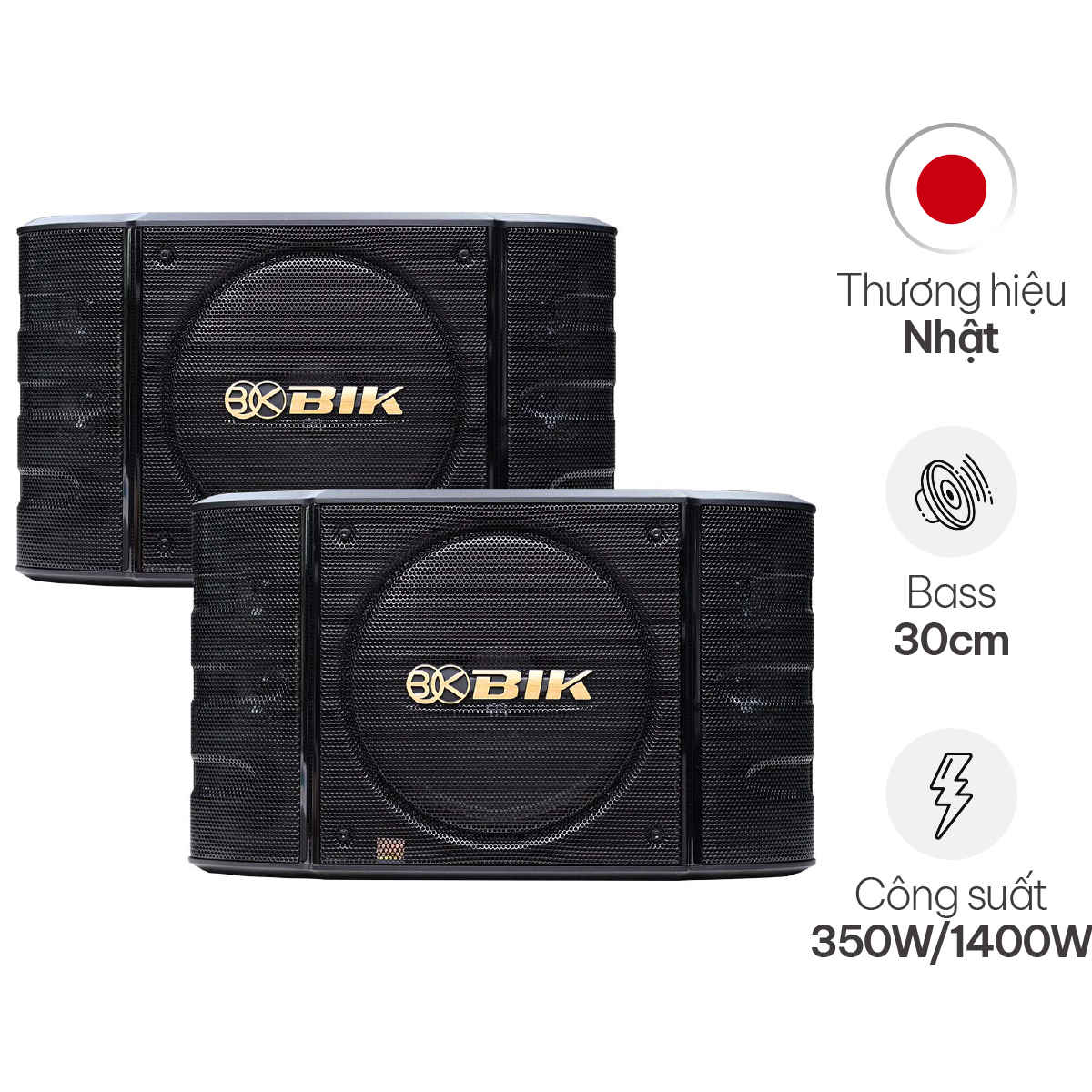 Loa Karaoke Nhật BIK BS 999X (Bass 30cm)