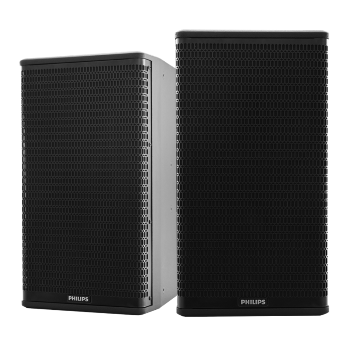 Loa Philips CSS1600/70 (Bass 30cm, 400W RMS)