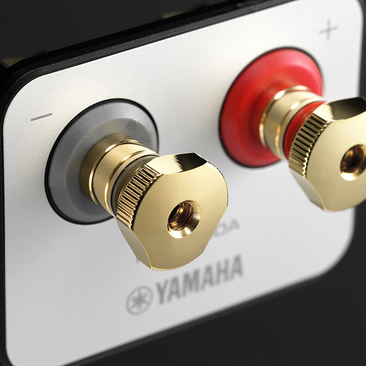 Loa Yamaha NS-2000A Black-3