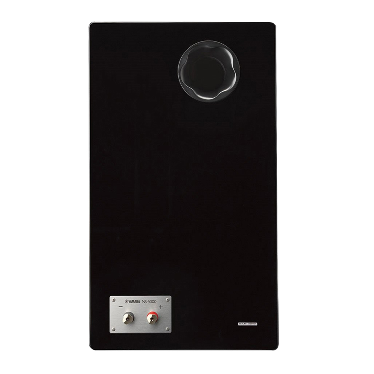 Loa Yamaha NS-5000 Black mặt sau