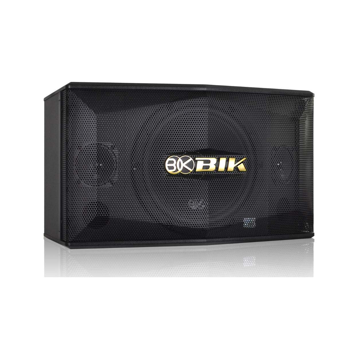 Loa karaoke Nhật BIK BJ-S658 (Passive, Bass 25cm, 450W) - Hình 3