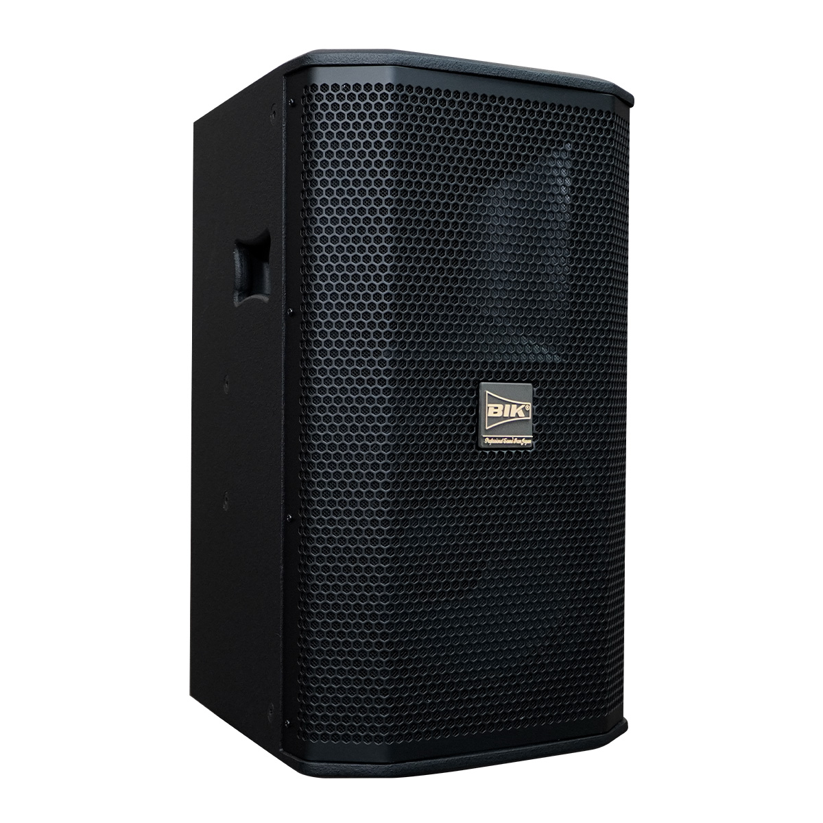 Loa karaoke Nhật BIK BSP 410II