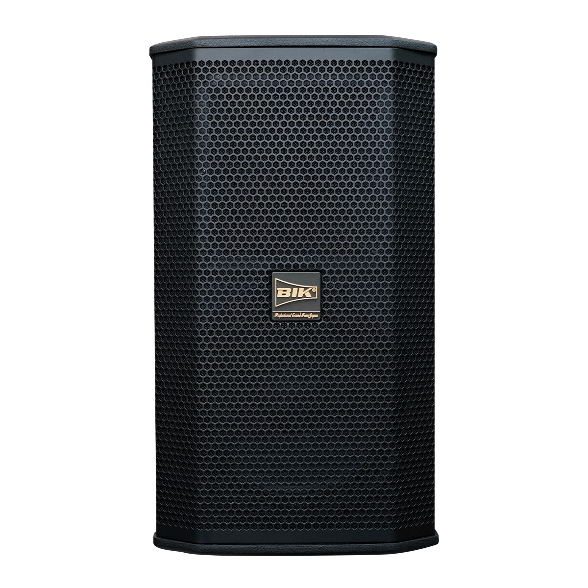 Loa karaoke Nhật BIK BSP 410II