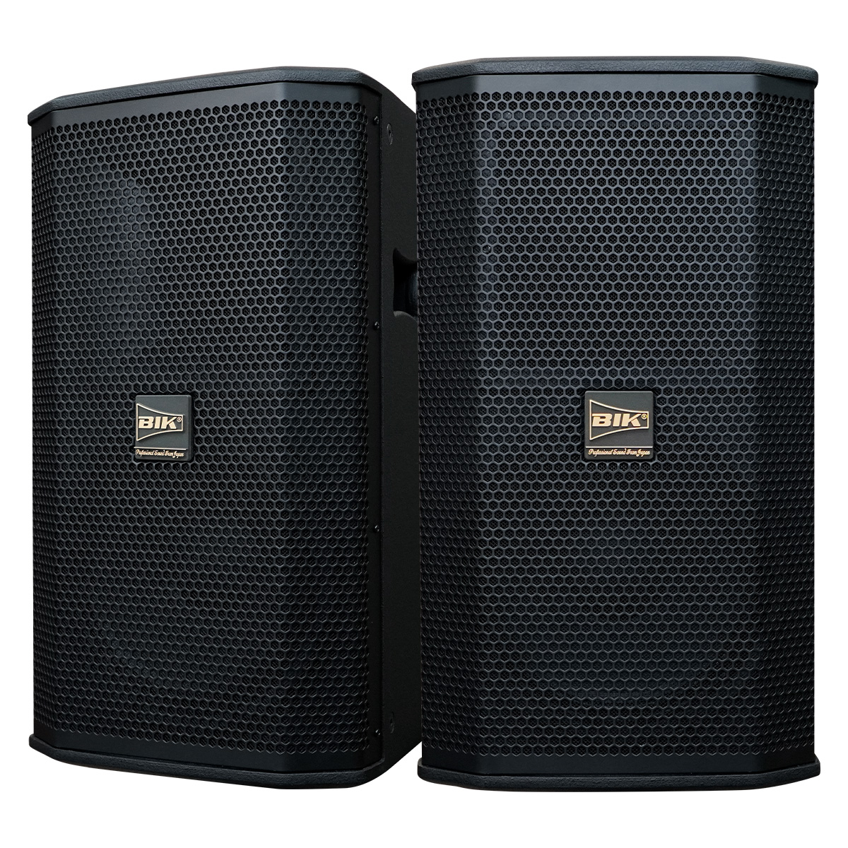 Loa karaoke Nhật BIK BSP 410II