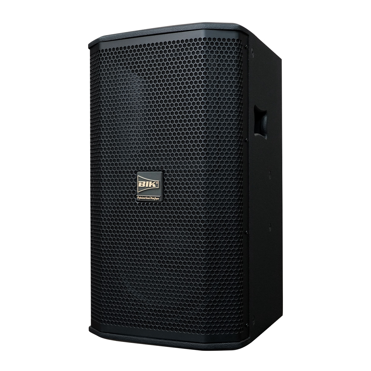 Loa karaoke Nhật BIK BSP 410II