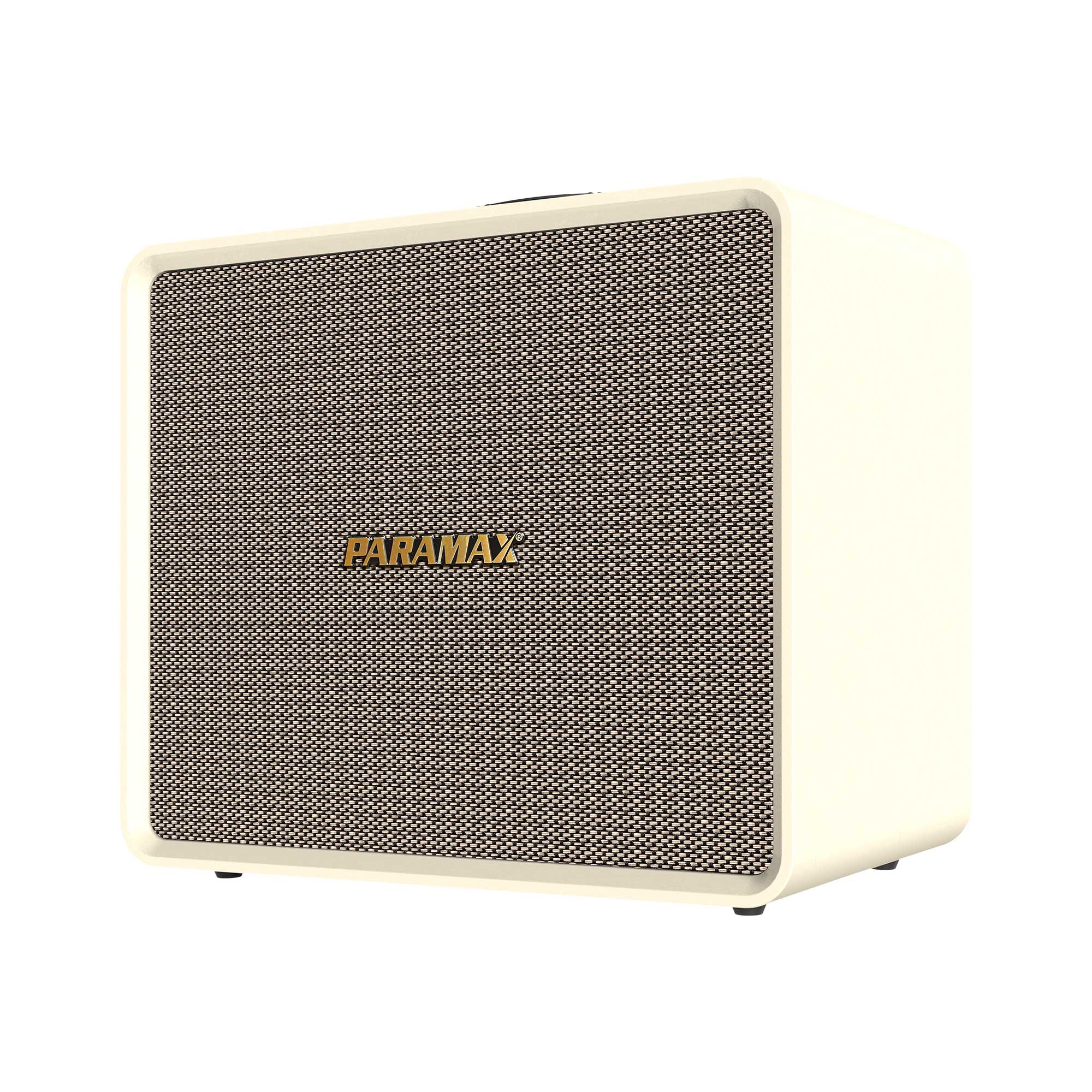 Loa Paramax Advance (Bass 25cm, 200W, Kèm 2 Micro) - Hình 2