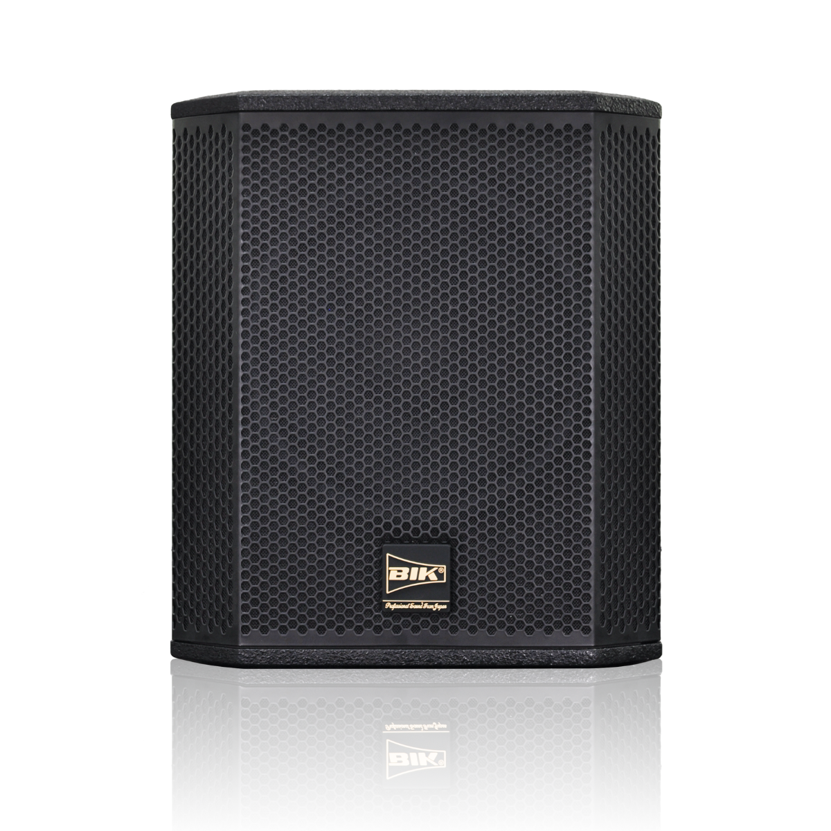Loa sub BIK BBK-W25A