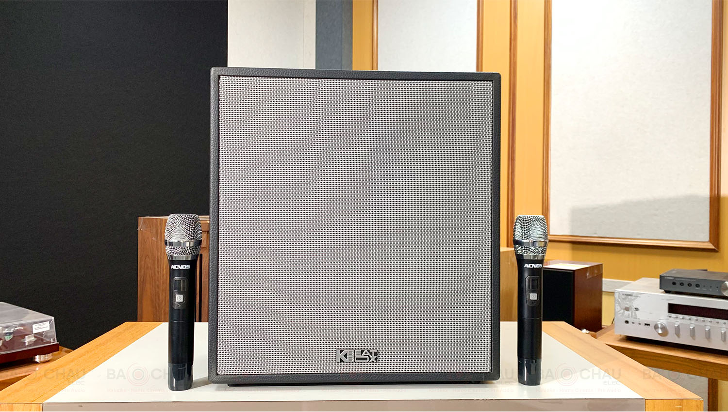 Loa xách tay ACNOS CS300