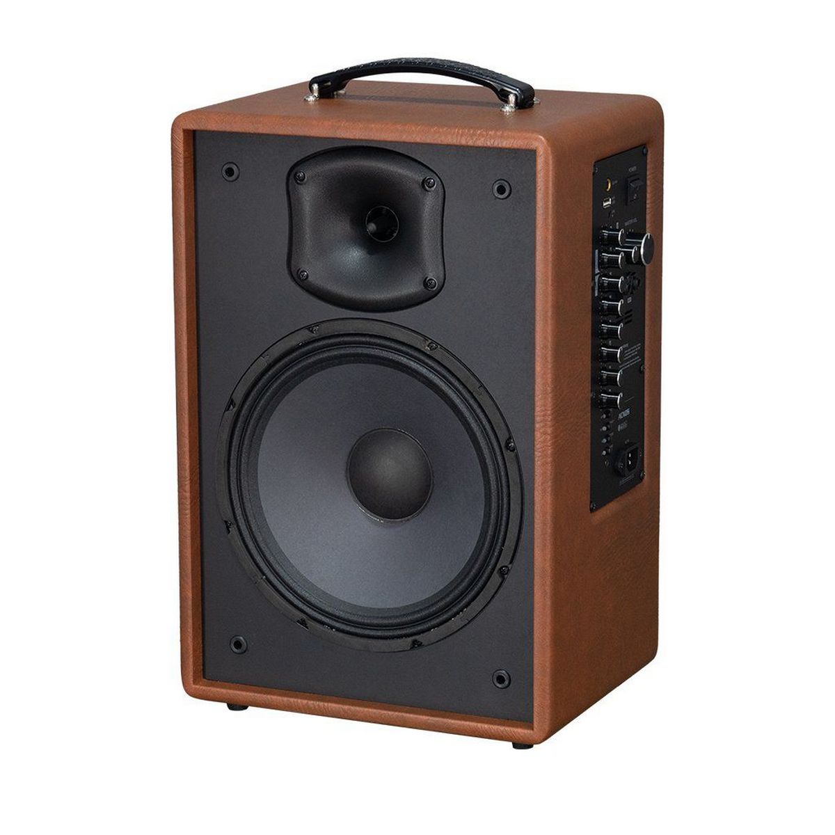 Loa xách tay Acnos Symphony (Bass 25cm, Bluetooth 5.0, Kèm 2 Micro) - Hình 1