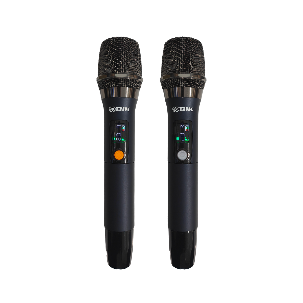  Loa x&aacute;ch tay BIK BCQ-M65dB