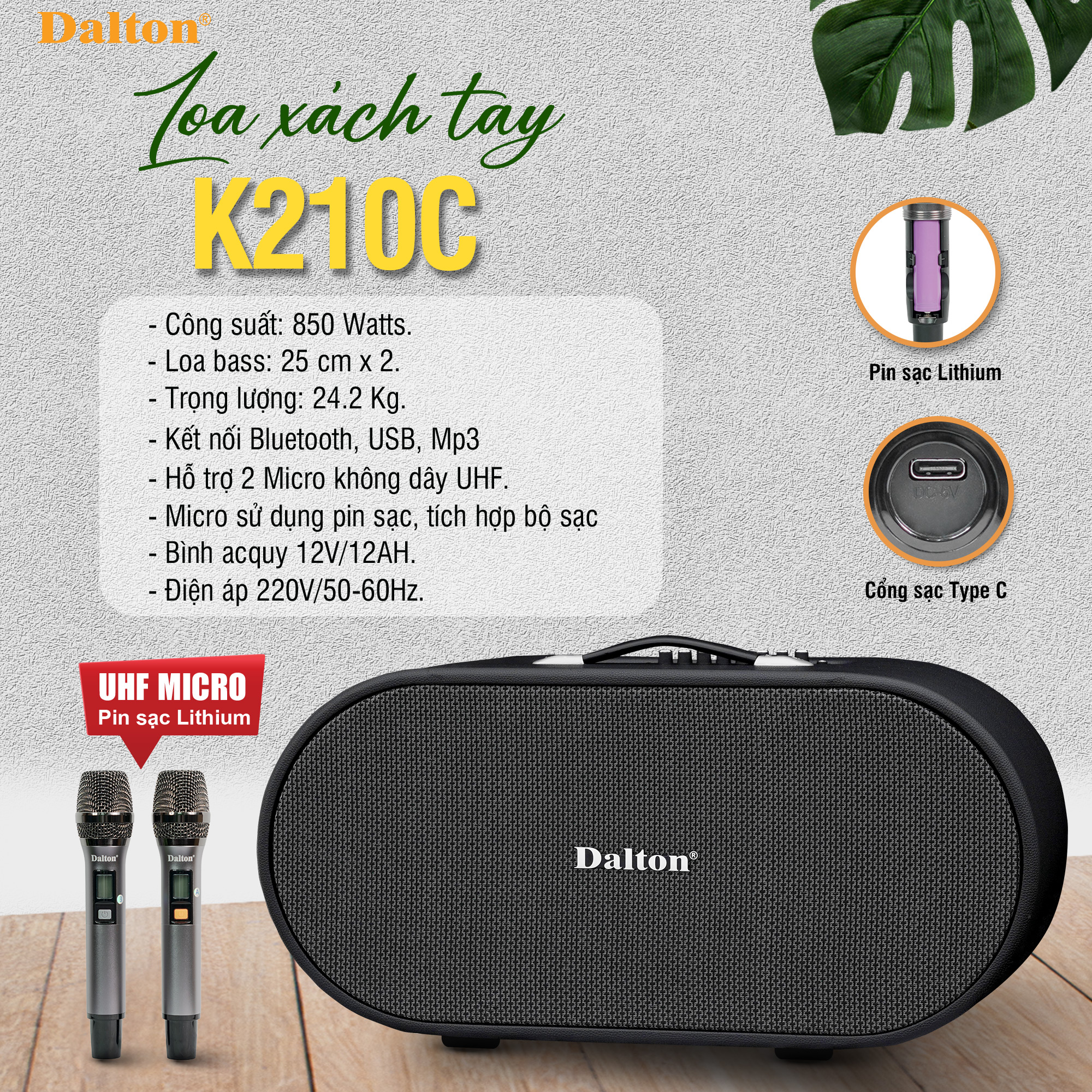 Loa x&aacute;ch tay Dalton K210C