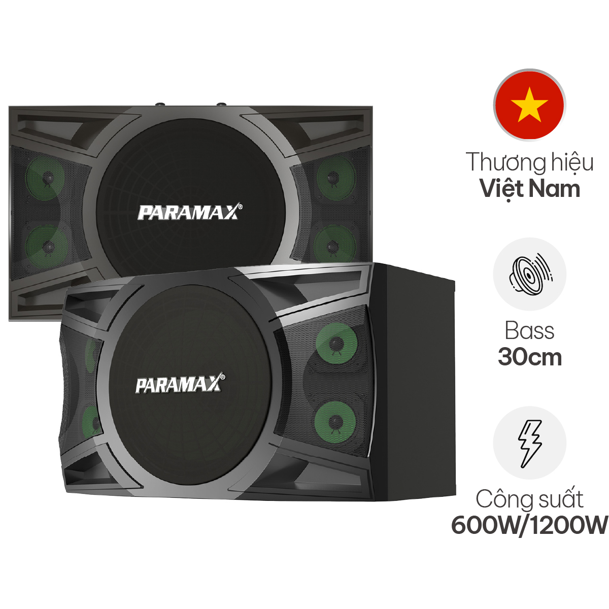 Loa Karaoke Paramax P2000 New