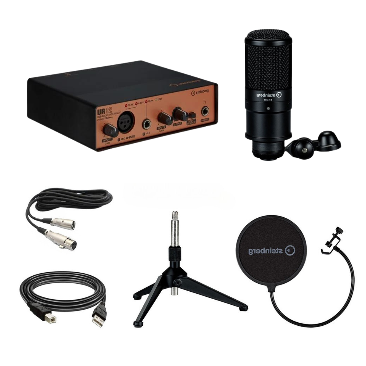 Soundcard Steinberg UR12B PS Pack - Hình 2