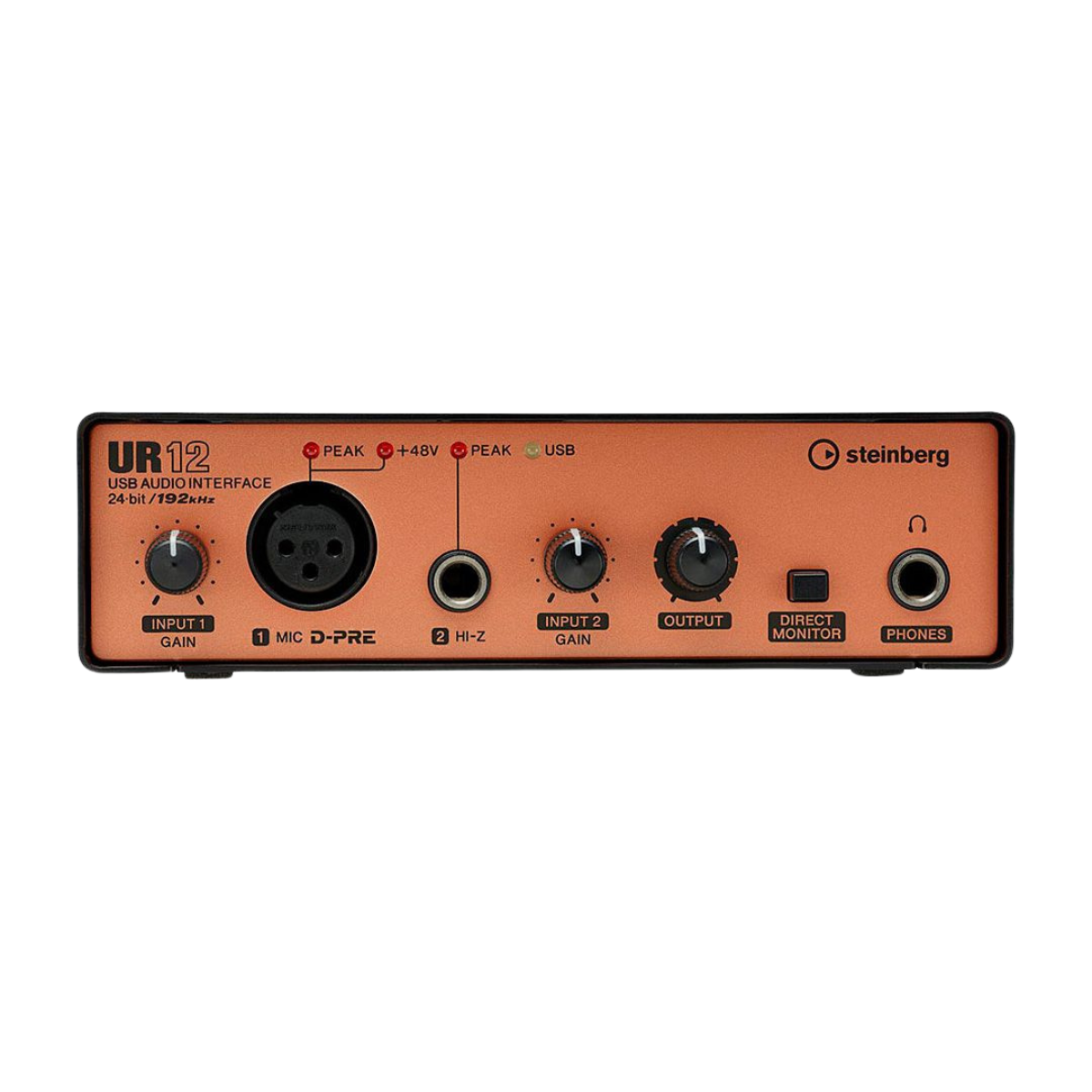 Soundcard Steinberg UR12B - Hình 1