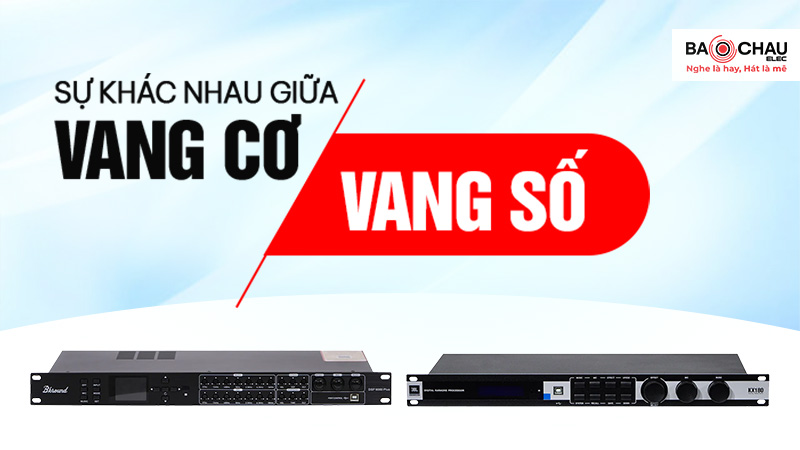 Sự khác nhau giữa vang cơ và vang số