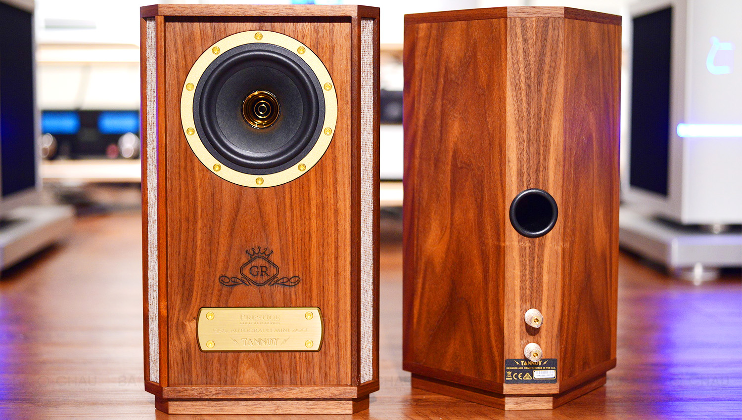 Loa Tannoy Autograph Mini-OW-1