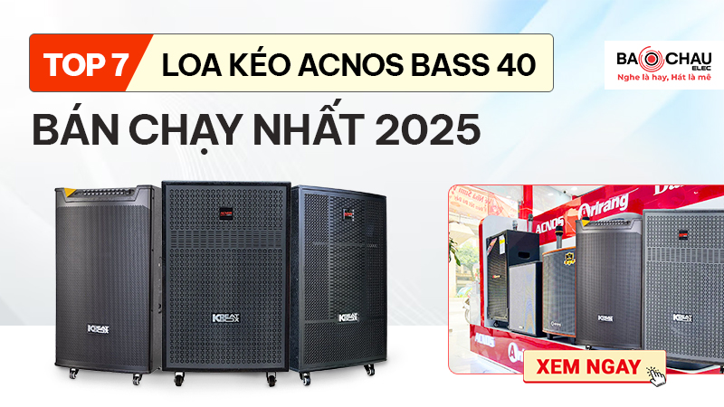 loa kéo Acnos bass 40