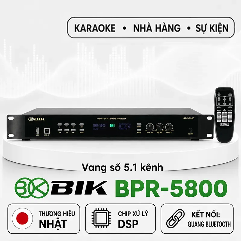 Vang Số BIK BPR-5800