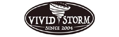 logo Vividstorm