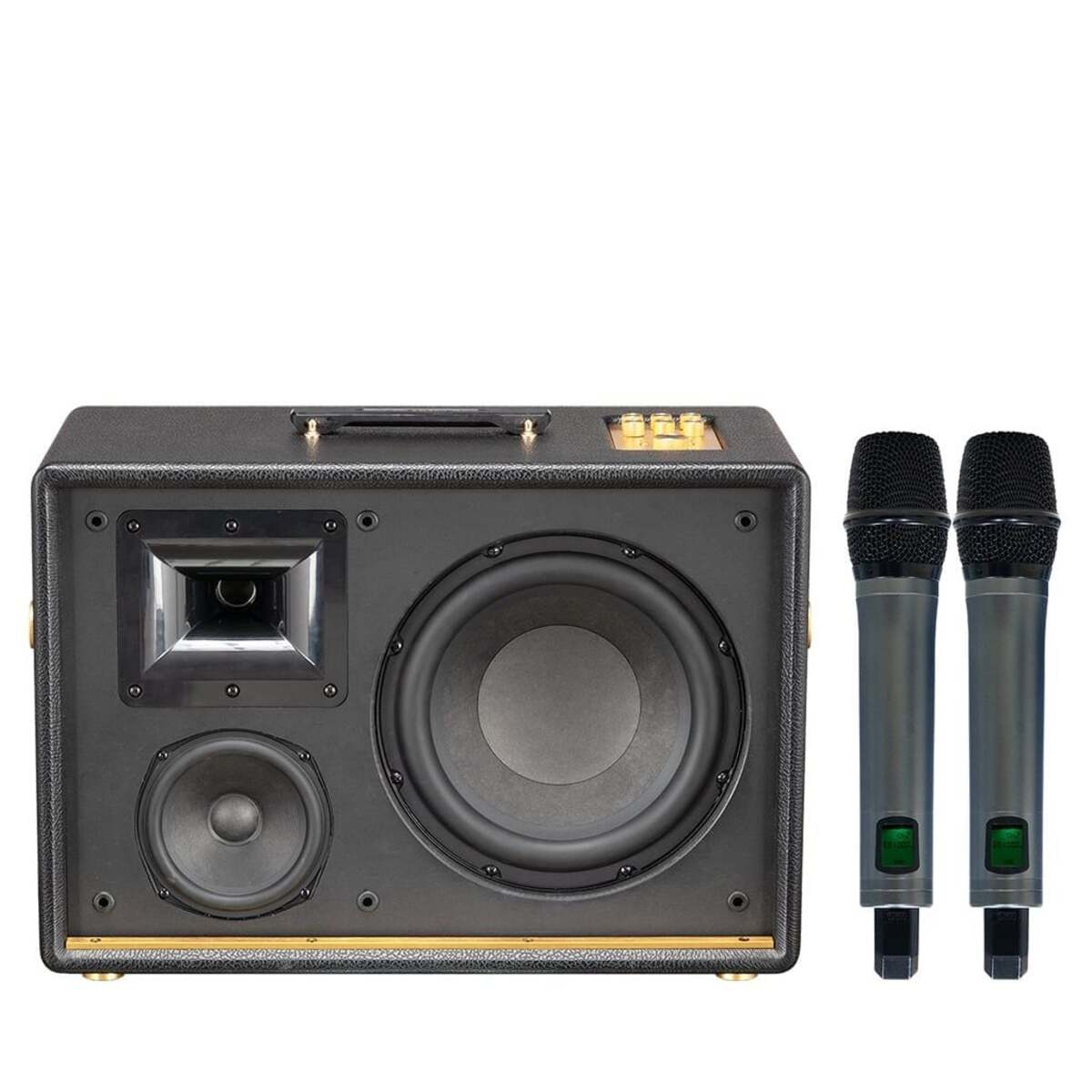 Loa Acnos D’Auris 500