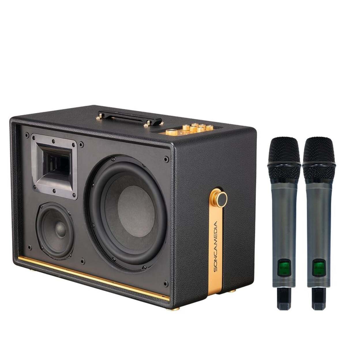 Loa Acnos D’Auris 500