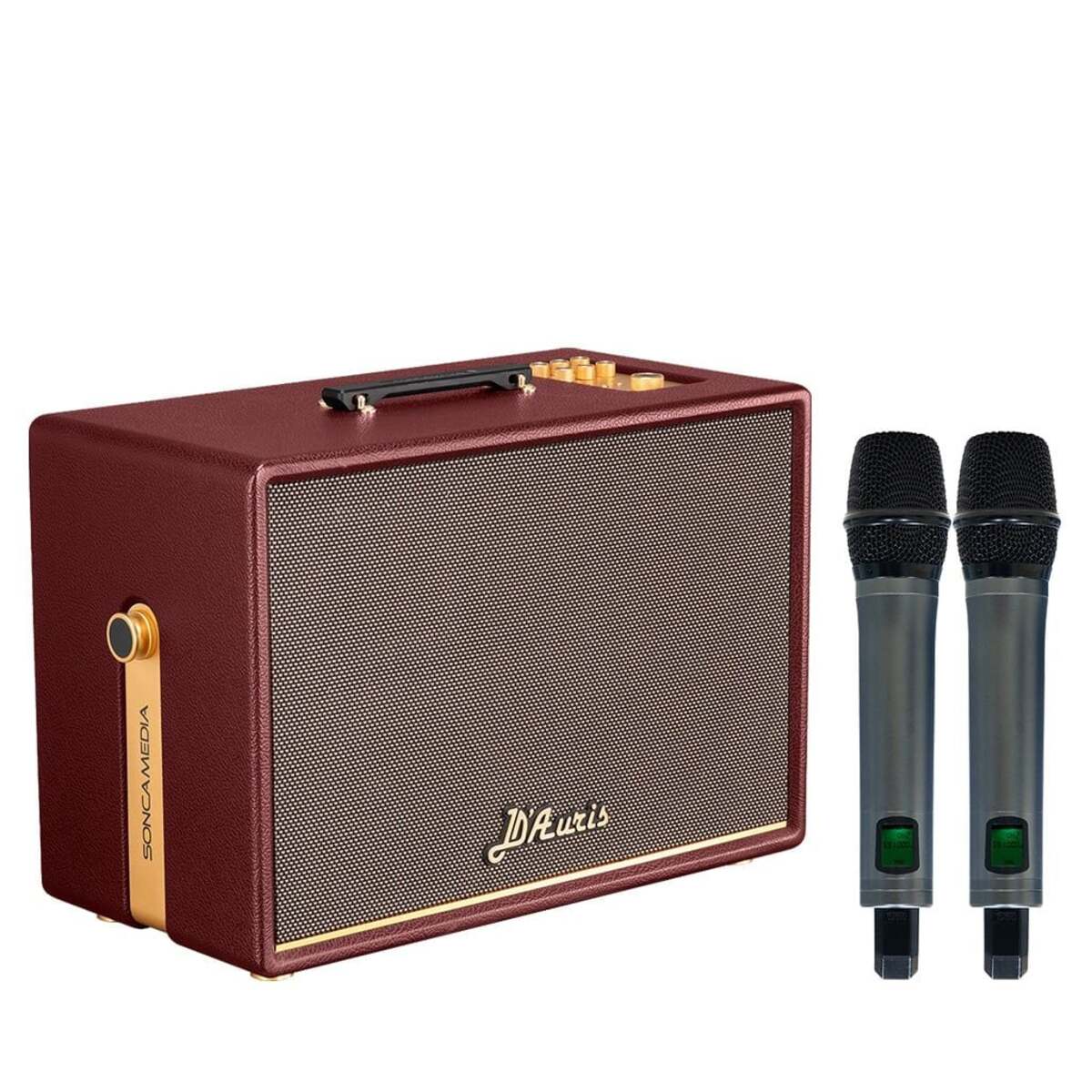 Loa Acnos D’Auris 500