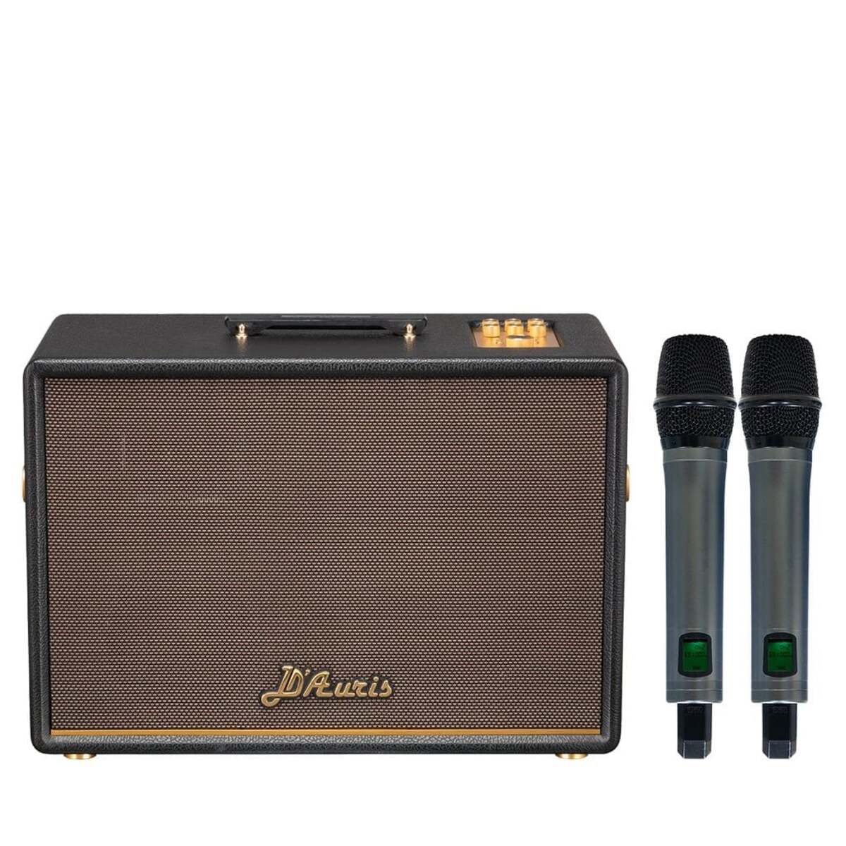 Loa Acnos D’Auris 500