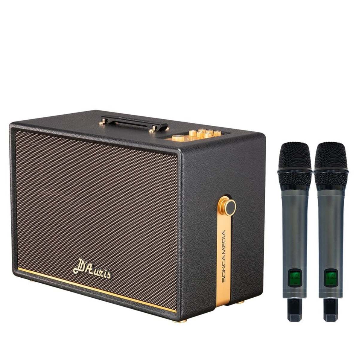 Loa Acnos D’Auris 500