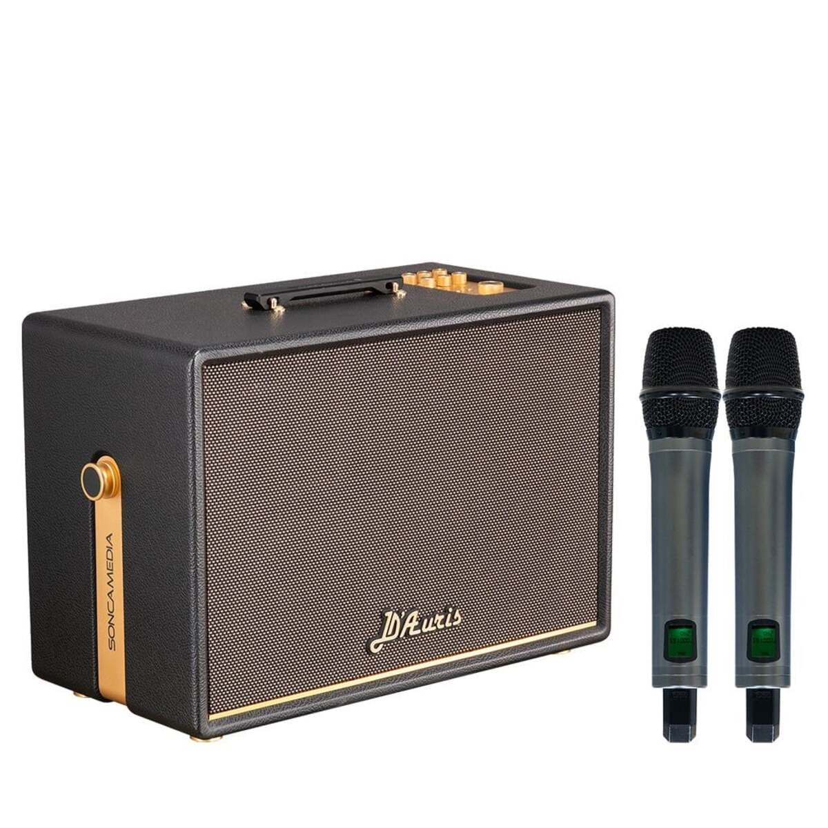 Loa Acnos D’Auris 500