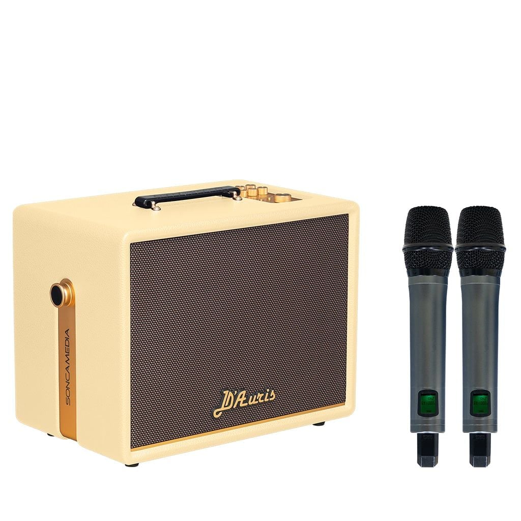 Loa Acnos D Auris 200 (Bass 25cm, 150W RMS, Kèm 2 micro) - Hình 1