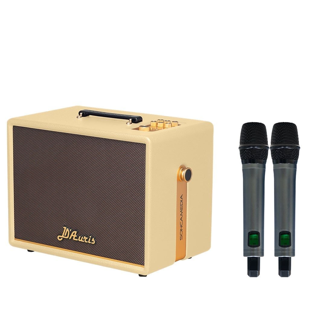 Loa Acnos D Auris 200 (Bass 25cm, 150W RMS, Kèm 2 micro) - Hình 1