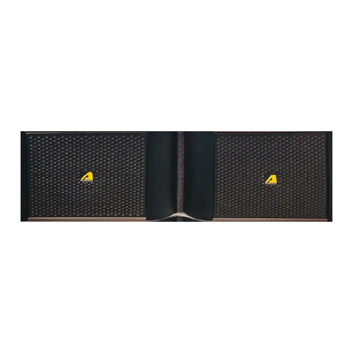 Loa Line Array ACTPRO KR612N