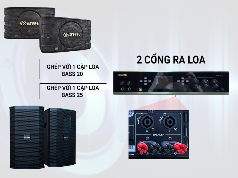 Amply karaoke BIK BDA-X33