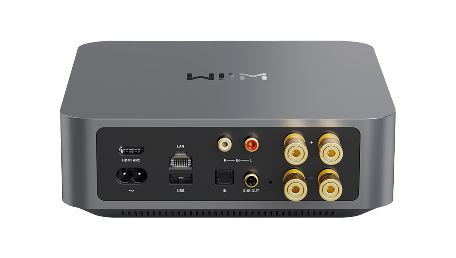 Amply Streaming Amplifier Wiim Amp