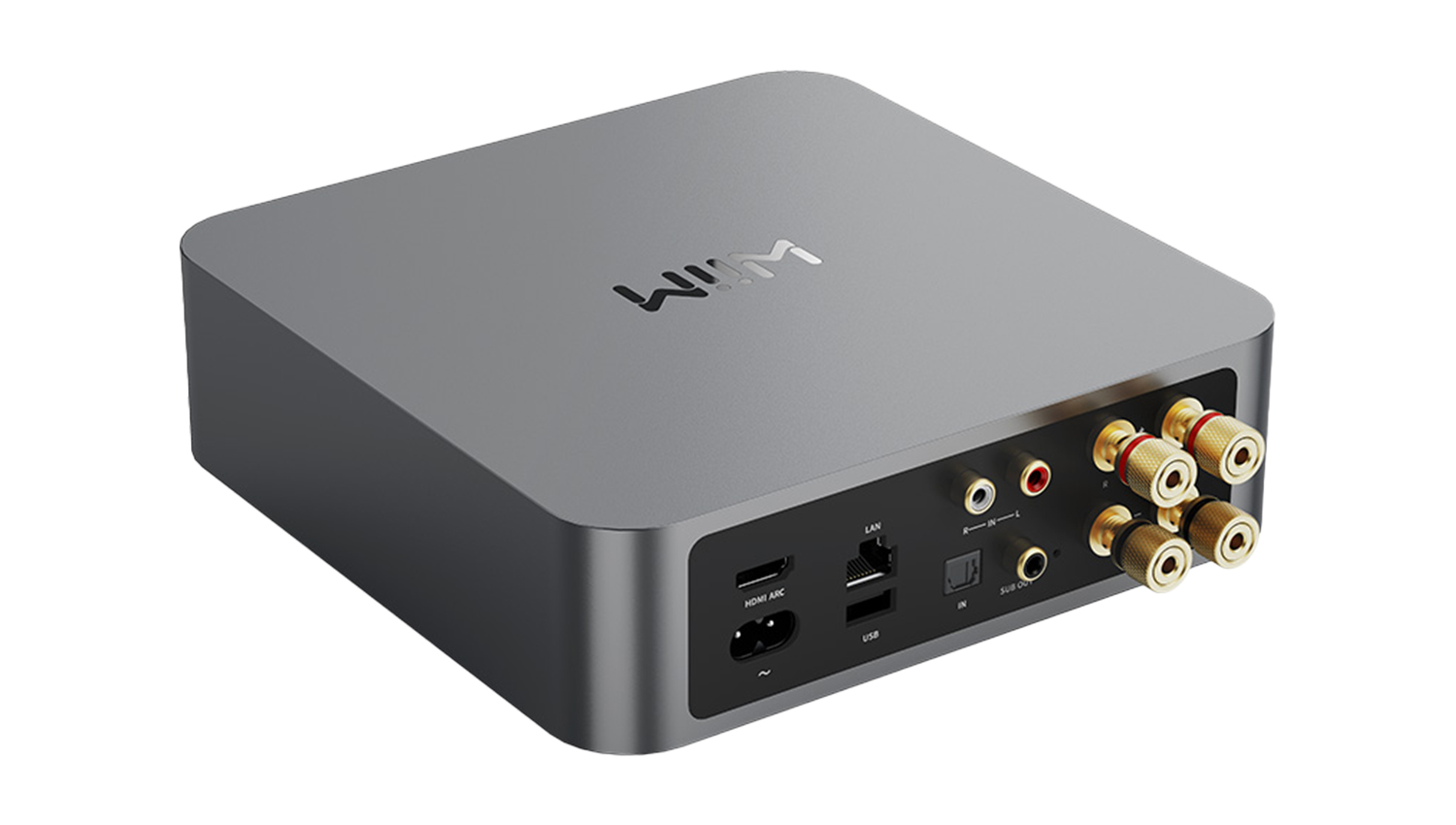 Amply Streaming Amplifier Wiim Amp