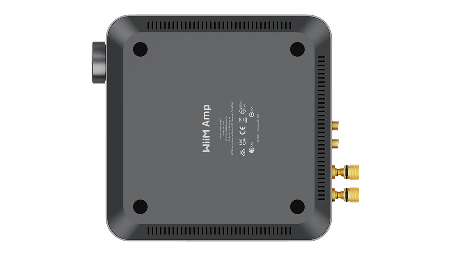 Amply Streaming Amplifier Wiim Amp