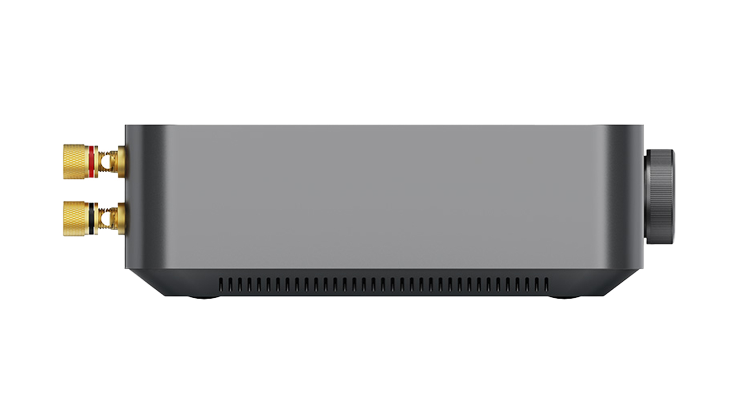 Amply Streaming Amplifier Wiim Amp