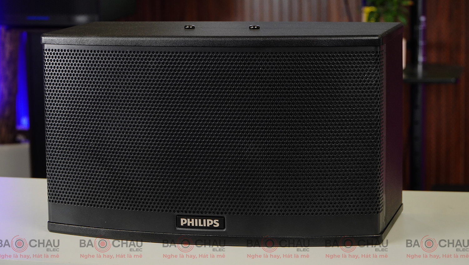 Loa Philips CSS1308/70