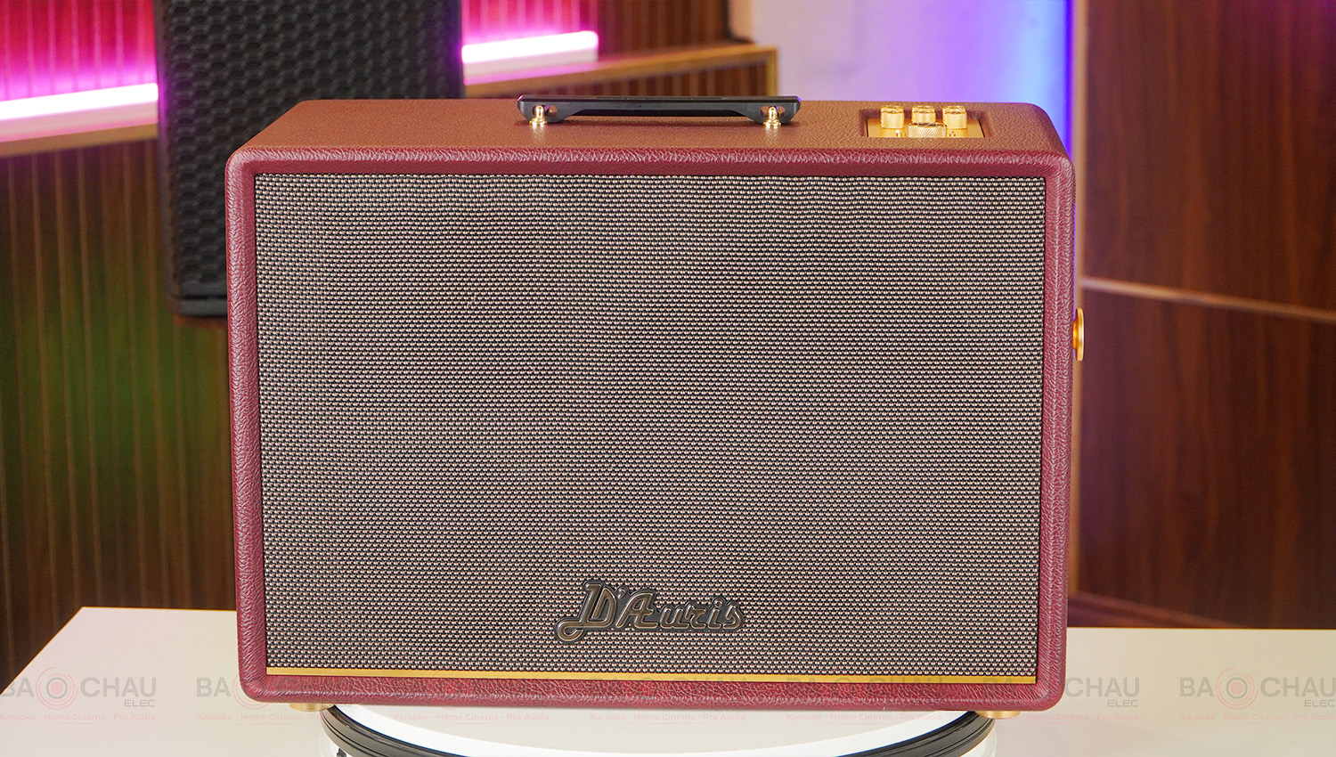 Loa Acnos D’Auris 500