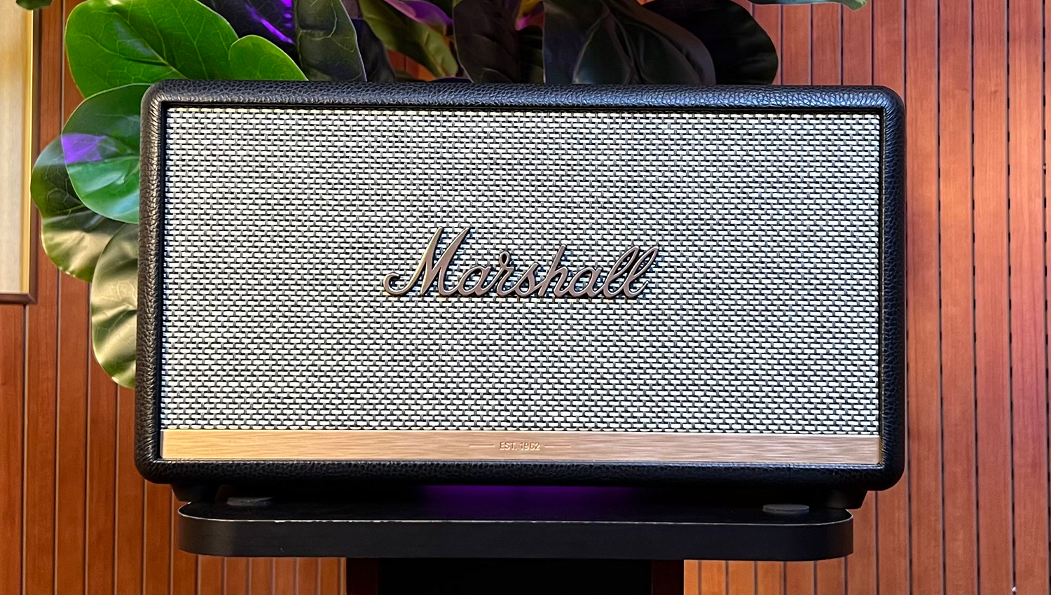 Loa Marshall Stanmore 2