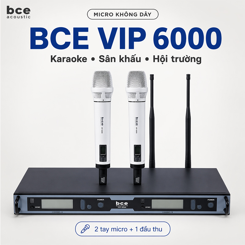 Micro không dây BCE Vip 6000