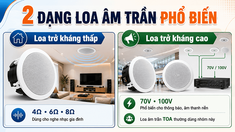 Cách đấu dây loa âm trần TOA đúng kỹ thuật và an toàn