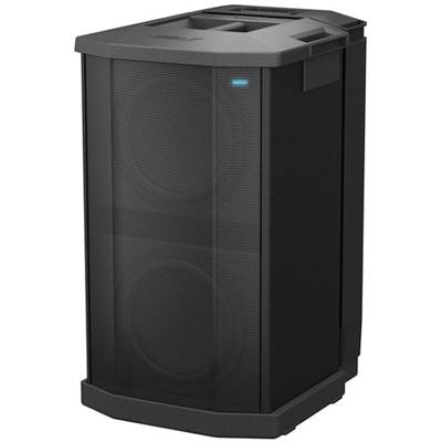 Loa sub điện Bose F1