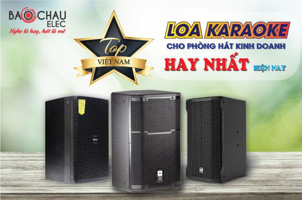 Top loa karaoke cho phòng hát kinh doanh hay đáng mua 2026