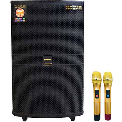 Loa kéo Temeisheng GD 15-21 (Bass 40cm, 700W, Kèm 2 micro, Pin 6-8h)