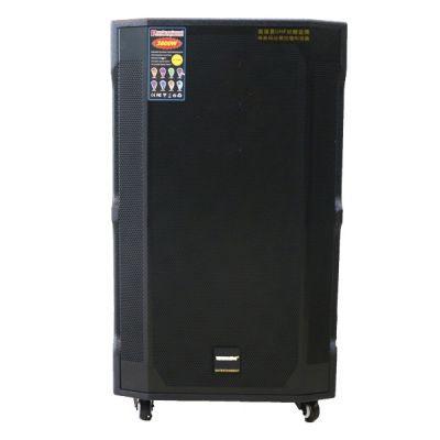 Loa kéo Temeisheng Gd 15-13 (Bass 40cm, 600W, Kèm 2 micro, Pin 5-7h)