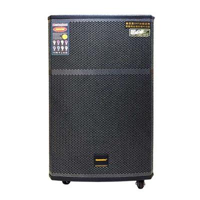 Loa kéo Temeisheng GD15-24 (Bass 40cm, 600W, Kèm 2 micro, Pin 6-8h)