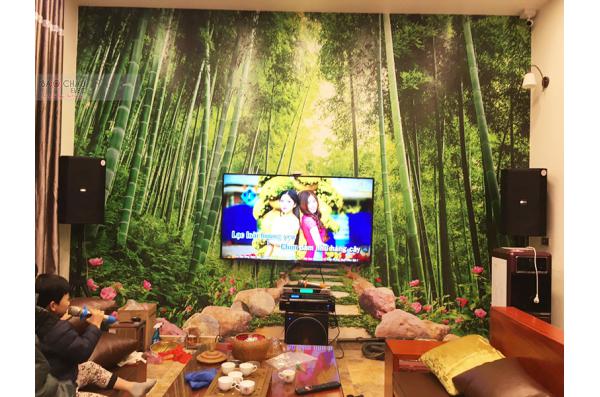 Lắp đặt dàn karaoke gia đình anh Sơn tại Bắc Ninh (BIK BSP 412, VM620A, DSP9000, Sub2000, UGX12)